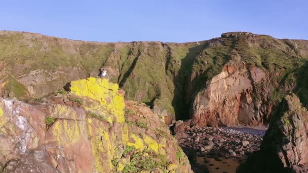 Vista aérea do horizonte de Dungloe no condado de Donegal - Irlanda — Vídeo de Stock