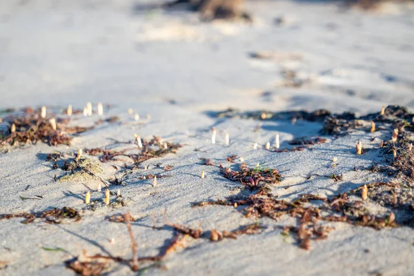 Spiaggia di Carn nella riserva naturale di Sheskinmore tra Ardara e Portnoo nel Donegal - Irlanda — Foto Stock