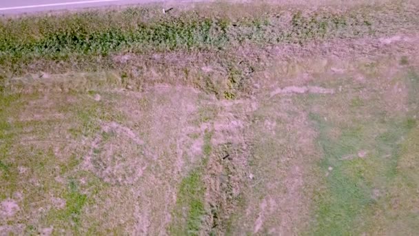 Vista aérea de la playa de Sondervig en Dinamarca - Europa — Vídeos de Stock