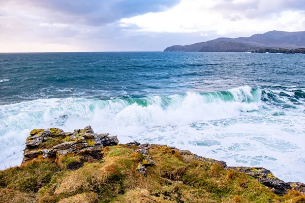 Enorme quantidade de gaivotas alimentando-se na costa de Maghery no Condado de Donegal durante a tempestade Irlanda — Fotografia de Stock