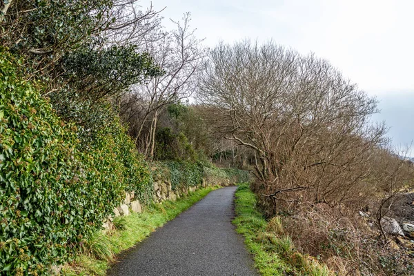 Ruta costera entre Buncrana en el Condado de Donegal y el bote salvavidas — Foto de Stock