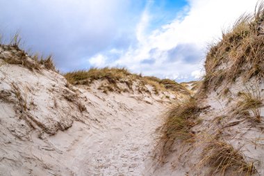The dunes at Maghera Beach near Ardara, County Donegal - Ireland.
