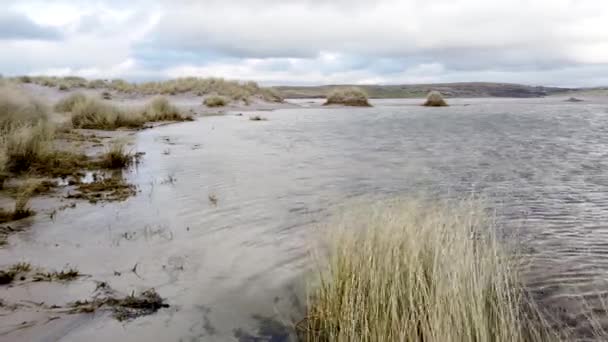 The dunes and beach at Maghera Beach near Ardara, County Donegal - Ireland. — Stok video