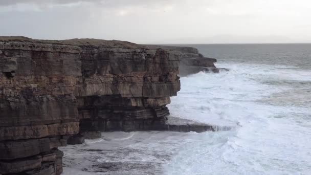 Valtavia aaltoja murtuu Muckross Headissa - pieni niemimaa Killyborgin länsipuolella, Donegalin kreivikunnassa, Irlannissa. Kalliot ovat kuuluisia kiipeilystä. — kuvapankkivideo