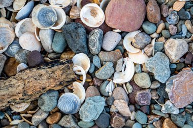 Inishowen, County Donegal 'deki Kinnagoe Körfezi' nde renkli taşlardan oluşan olağanüstü bir seçim var.
