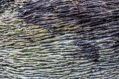 Inishowen, County Donegal 'deki Kinnagoe Körfezi' nde renkli taşlardan oluşan olağanüstü bir seçim var.