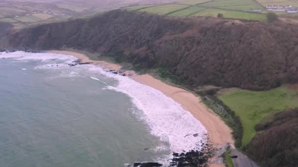 Vista aérea de la bahía de Kinnagoe en el Condado de Donegal, Irlanda — Vídeo de stock