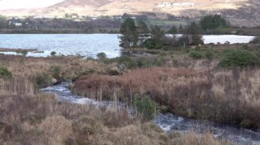 Glenthornan Şelalesi İrlanda Donegal 'deki Dunlewey ya da Dunlewy' nin Lough Nacung 'a akan şelalesi..