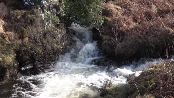 Vattenfall i Glenthornan vid Dunlewey eller Dunlewy i grevskapet Donegal, Irland. — Stockvideo