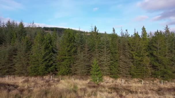 Voler à côté de la forêt près de la ville Glenties dans le comté de Donegal Irlande 