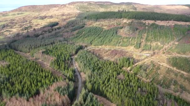 County Donegal, İrlanda 'daki Glenties kasabası yakınlarındaki ormanın üzerinde uçuyor. — Stok video