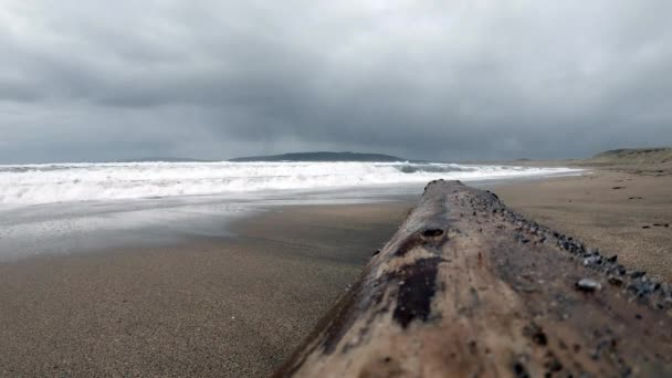 Driftwood na plaży na zachodnim wybrzeżu Donegal na dzikim Atlantyku w Irlandii — Wideo stockowe