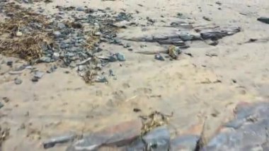 Portnoo Narin sahilinin derinliklerinde uçuyor Donegal, İrlanda