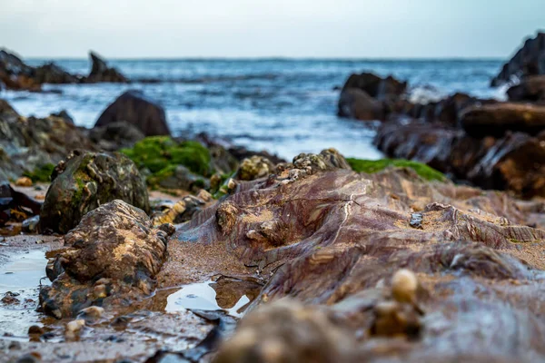 Kinnagoe Bay στο County Donegal, Inishowen έχει μια εξαιρετική επιλογή από πολύχρωμες πέτρες- Ιρλανδία — Φωτογραφία Αρχείου