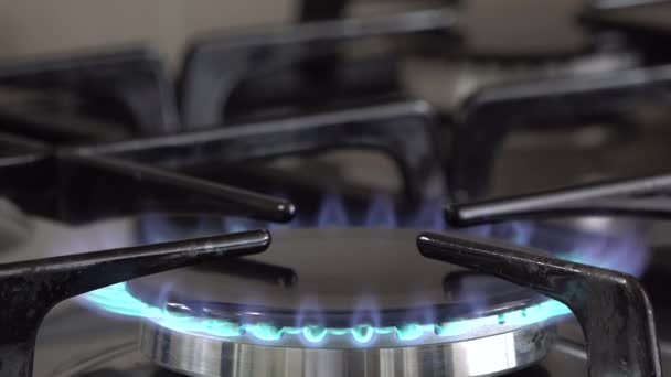 Газовое пламя домашней кухонной печи — стоковое видео