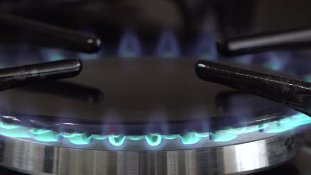 Газовое пламя домашней кухонной печи — стоковое видео