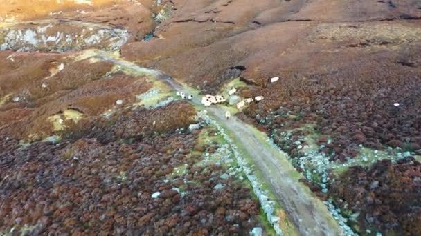 Luftaufnahme der wunderschönen Küste bei Port in der Grafschaft Donegal - Irland — Stockvideo