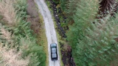 Ormandan geçen 4x4 kamyonet - tüm markalar kaldırıldı