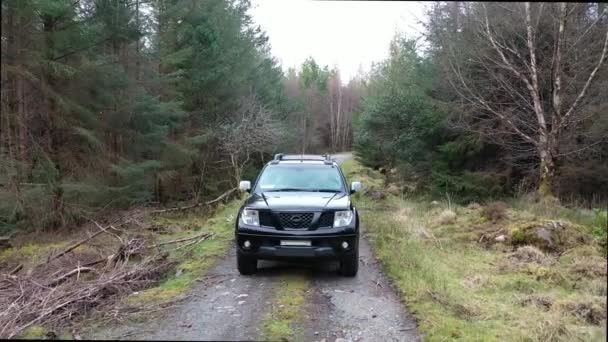 4x4 pickup vehículos que conducen a través del bosque - todas las marcas eliminadas — Vídeo de stock