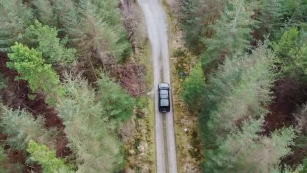 4x4 pick-up voertuigen rijden door het bos - alle merken verwijderd — Stockvideo