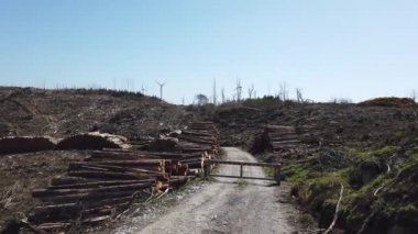 Donegal, İrlanda 'daki Bonny Glen' de kereste yığınları.