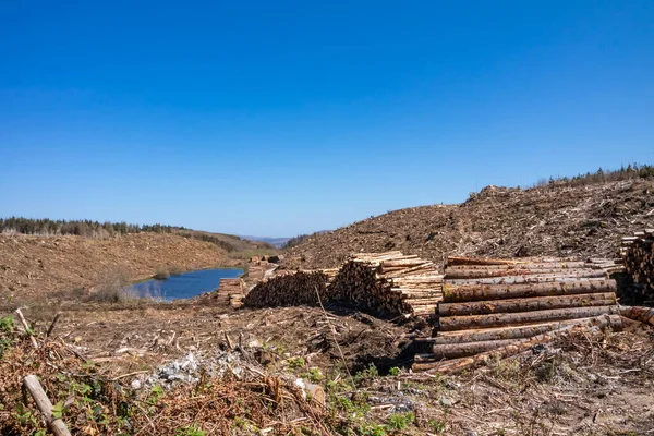 Montones de madera en Bonny Glen en el Condado de Donegal - Irlanda — Foto de Stock