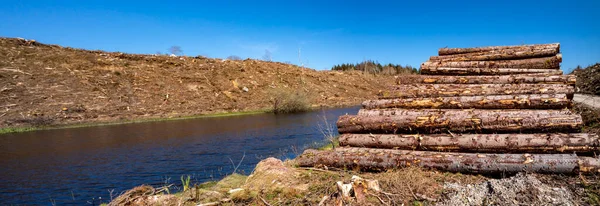 Montones de madera en Bonny Glen en el Condado de Donegal - Irlanda — Foto de Stock