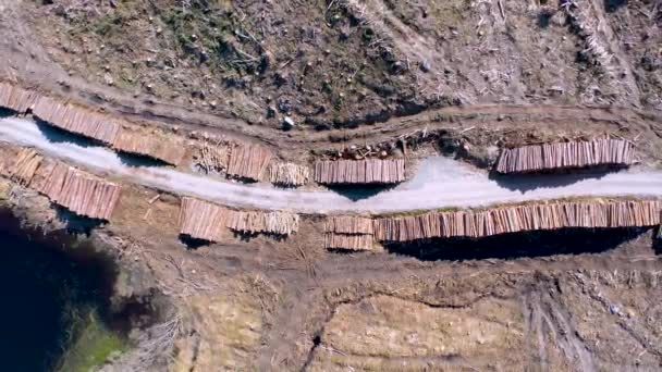 Timber stacks aerial at Bonny Glen in County Donegal - Ierland — Stockvideo