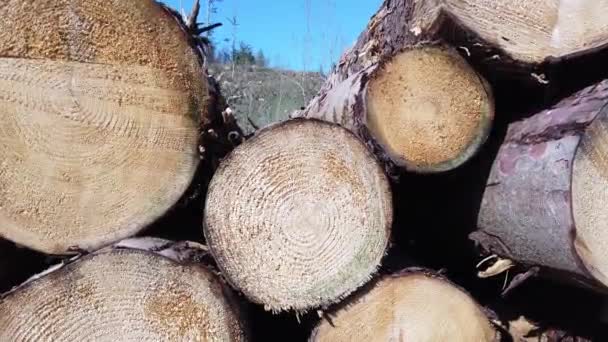 Montones de madera en Bonny Glen en el Condado de Donegal - Irlanda — Vídeo de stock