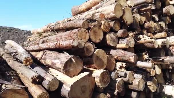 Empilements de bois à Bonny Glen dans le comté de Donegal - Irlande — Video