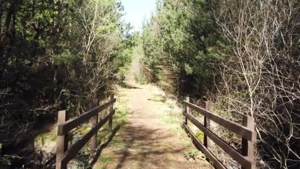 Vacker skog vid sjön Namanlagh nära Bonny Glen i Donegal - Irland — Stockvideo