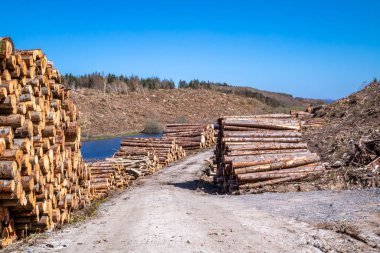 Donegal, İrlanda 'daki Bonny Glen' de kereste yığınları.