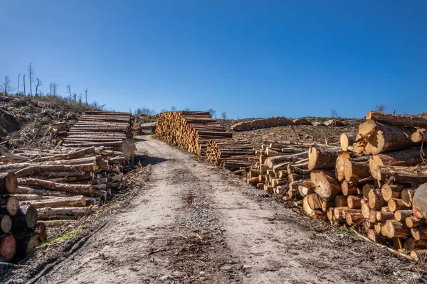 Montones de madera en Bonny Glen en el Condado de Donegal - Irlanda — Foto de Stock