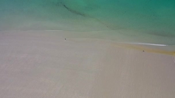 Csinos hölgy sétál magányos homokos tengerparton — Stock videók