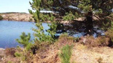 Donegal, İrlanda 'daki Bonny Glen yakınlarındaki güzel Namanlagh Gölü manzarası