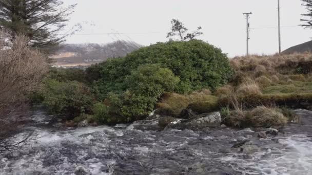 Corriente con Errigal, la montaña más alta de Donegal - Irlanda en el fondo — Vídeos de Stock