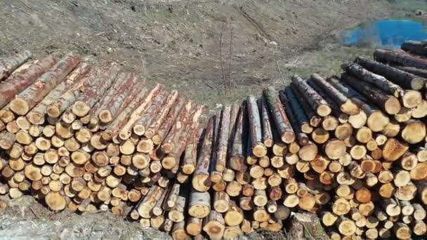 Timber stacks aerial at Bonny Glen in County Donegal - Ireland — Stock Video