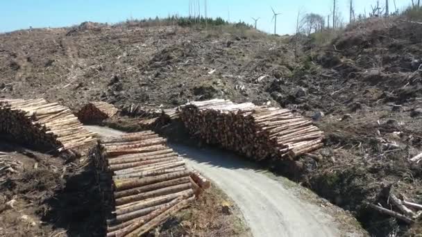 Timber stacks aerial at Bonny Glen in County Donegal - Ierland — Stockvideo