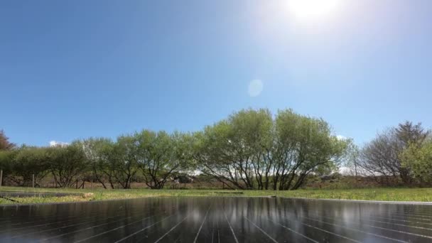 Time lapse pf Módulos fotovoltaicos con árboles y vacas en el fondo — Vídeos de Stock