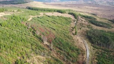 County Donegal, İrlanda 'daki Glenties kasabasının yanındaki peatbataklık üzerinde uçuyor.