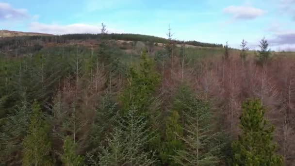 Voler à côté de la forêt près de la ville Glenties dans le comté de Donegal Irlande 