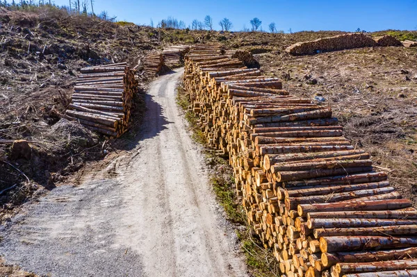 Vista aérea de las pilas de madera en Bonny Glen en el Condado de Donegal - Irlanda — Foto de Stock