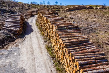 Donegal, İrlanda 'daki Bonny Glen' deki kereste yığınlarının hava manzarası.
