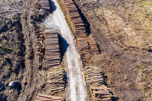 Letecký pohled na hromady dřeva v Bonny Glen v hrabství Donegal - Irsko — Stock fotografie