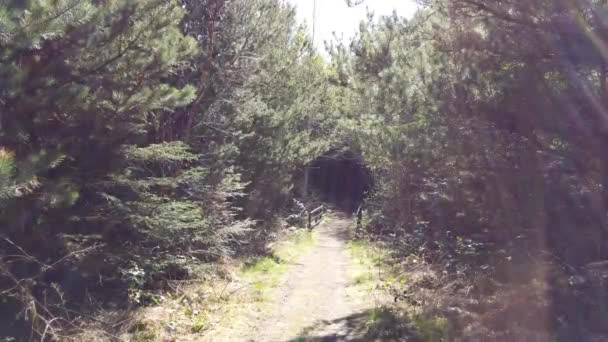 Vacker skog vid sjön Namanlagh nära Bonny Glen i Donegal - Irland — Stockvideo