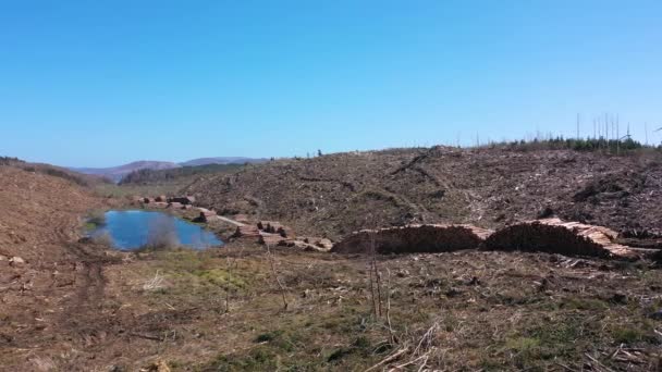 Pilas de madera aérea en Bonny Glen en el Condado de Donegal - Irlanda — Vídeos de Stock