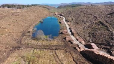 Donegal, İrlanda 'daki Bonny Glen' de kereste yığınları.