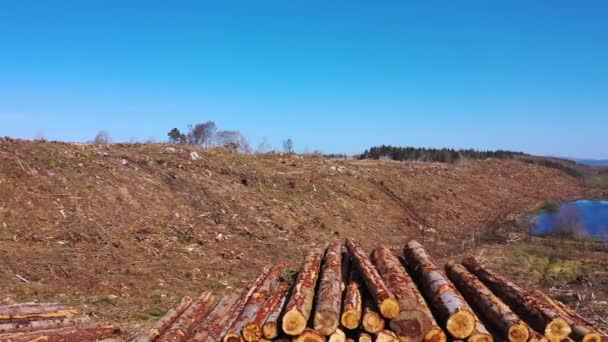 Η ξυλεία στοιβάζει εναέρια στο Bonny Glen στο County Donegal - Ιρλανδία — Αρχείο Βίντεο