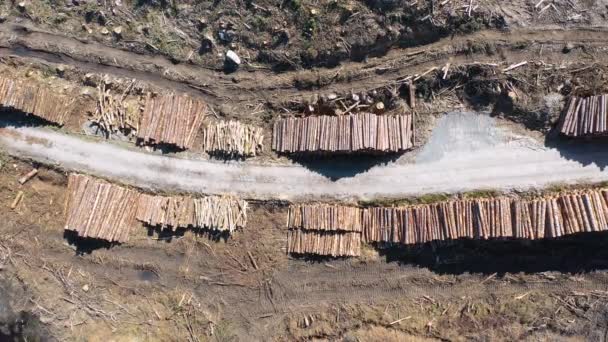 Donegal, İrlanda 'daki Bonny Glen' de kereste yığınları. — Stok video