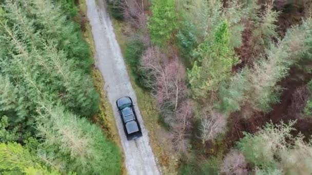 4x4 pick-up voertuigen rijden door het bos - alle merken verwijderd — Stockvideo